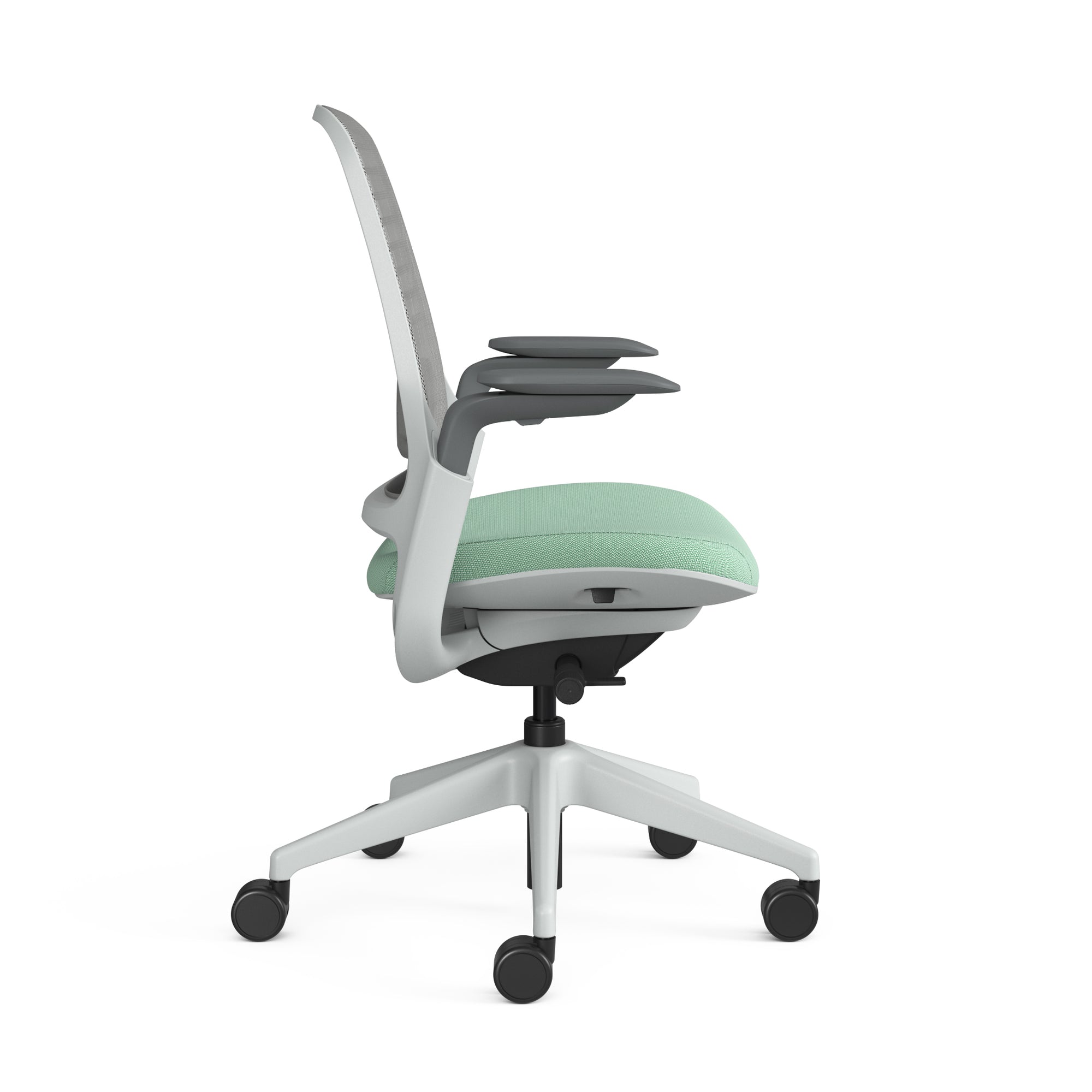 時代翡翠;海鷗框架