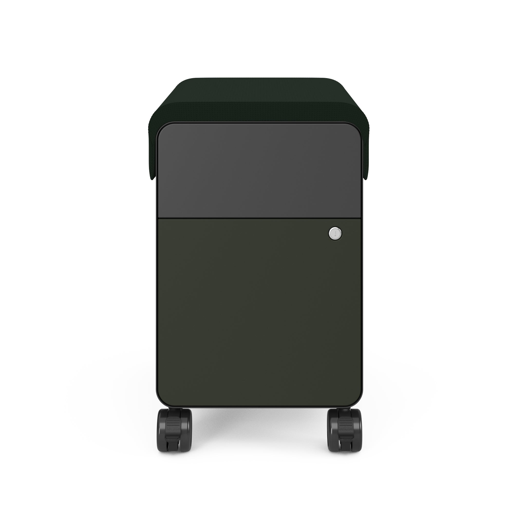 Merle Carcass; Jungle File Drawer