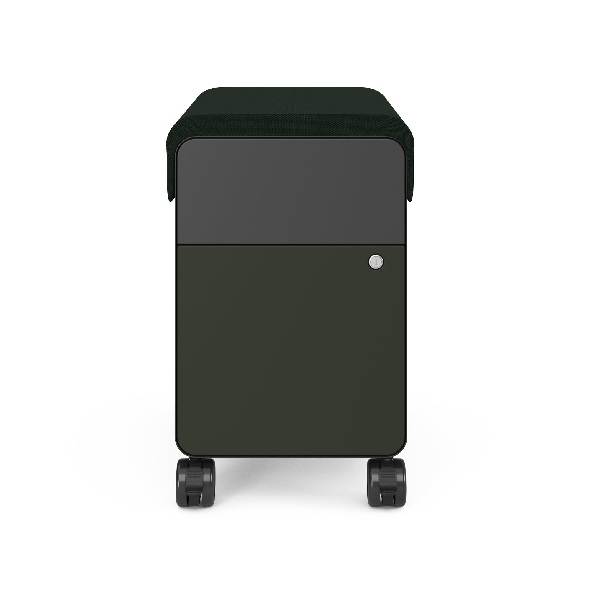 Merle Carcass; Jungle File Drawer