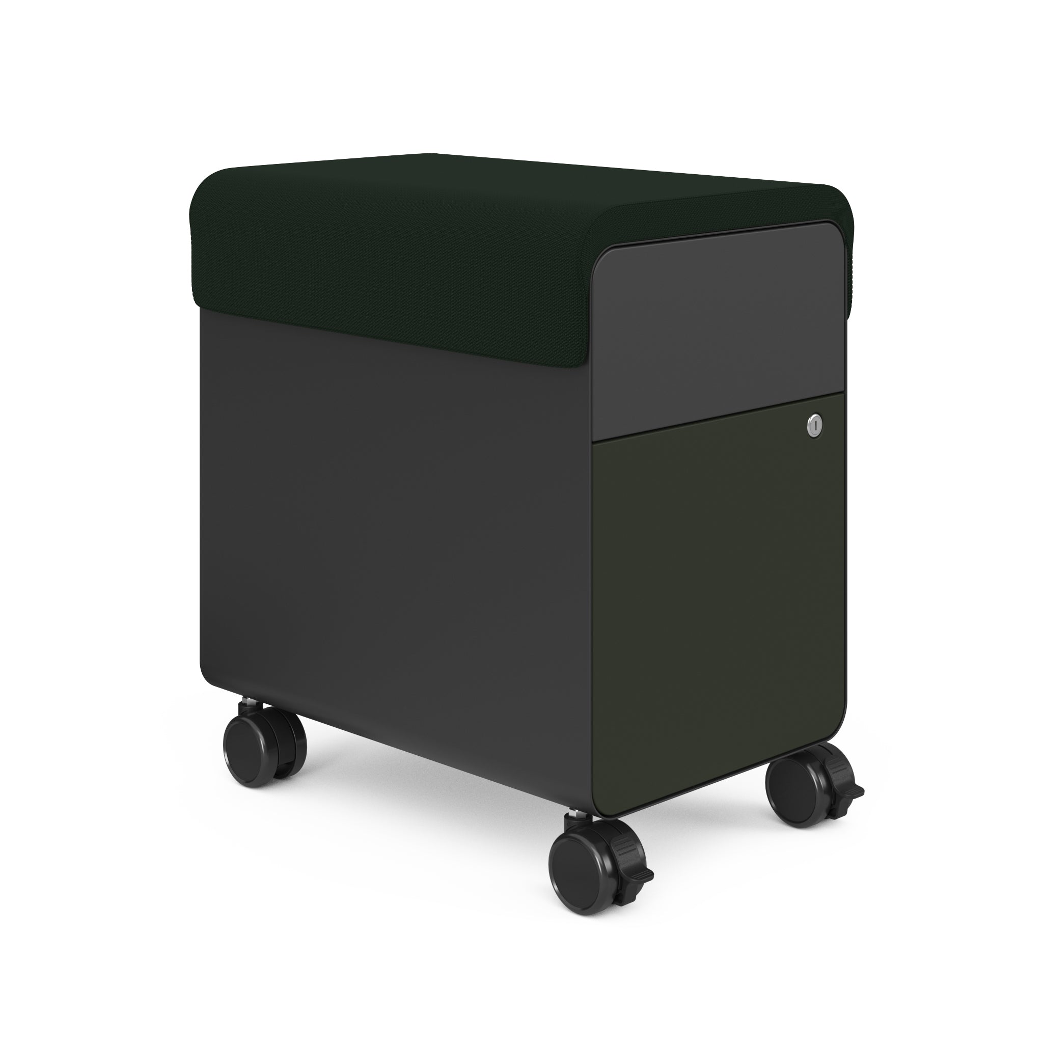 Merle Carcass; Jungle File Drawer