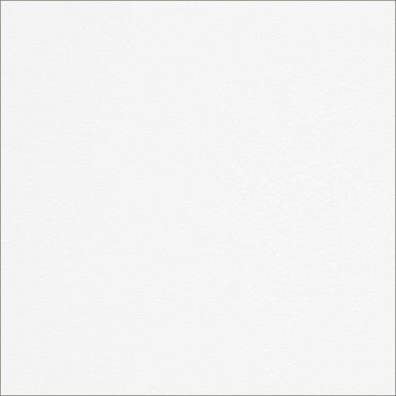 Buoy Chair  Steelcase 香港